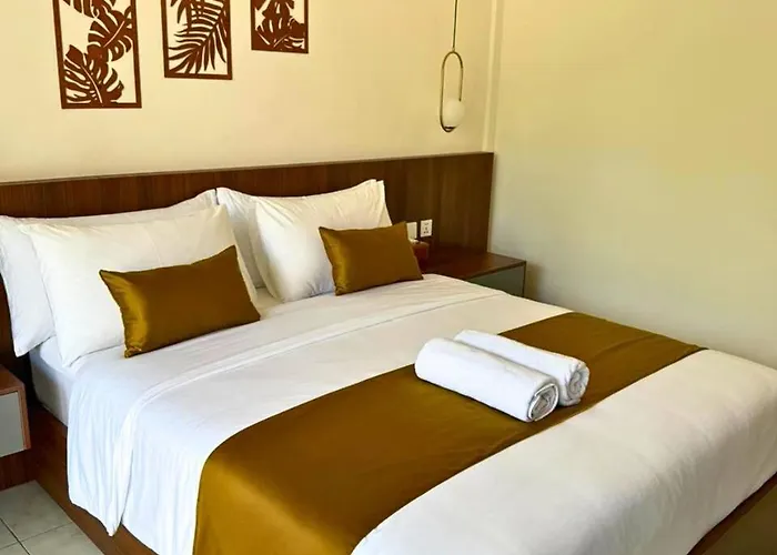 Asana Guest house *